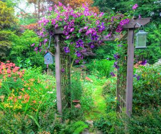 Flowering Vine on Wood Arbor