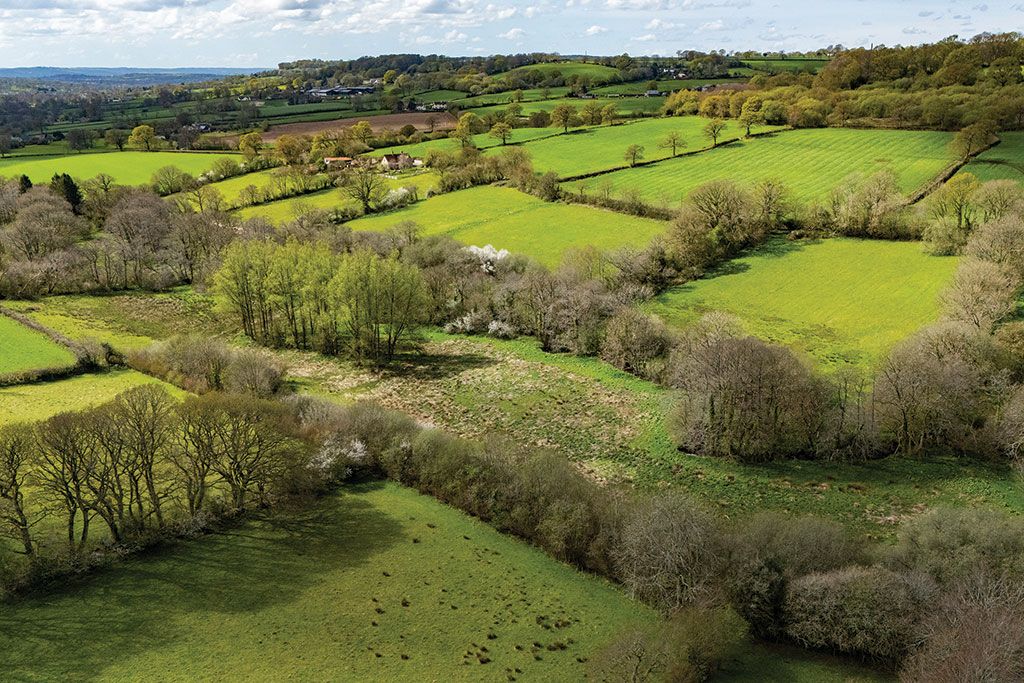 Smallholding for sale: Brimley Farm, Churchstanton, Taunton, Somerset.