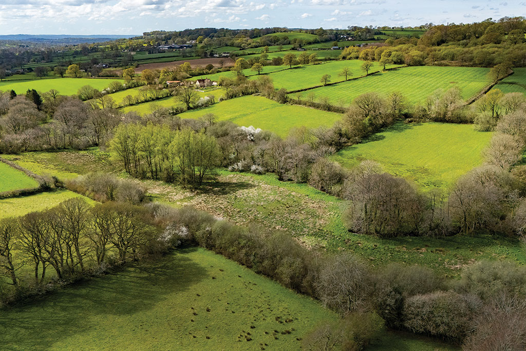 Smallholding for sale: Brimley Farm, Churchstanton, Taunton, Somerset.