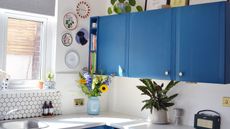 blue kitchen transformation