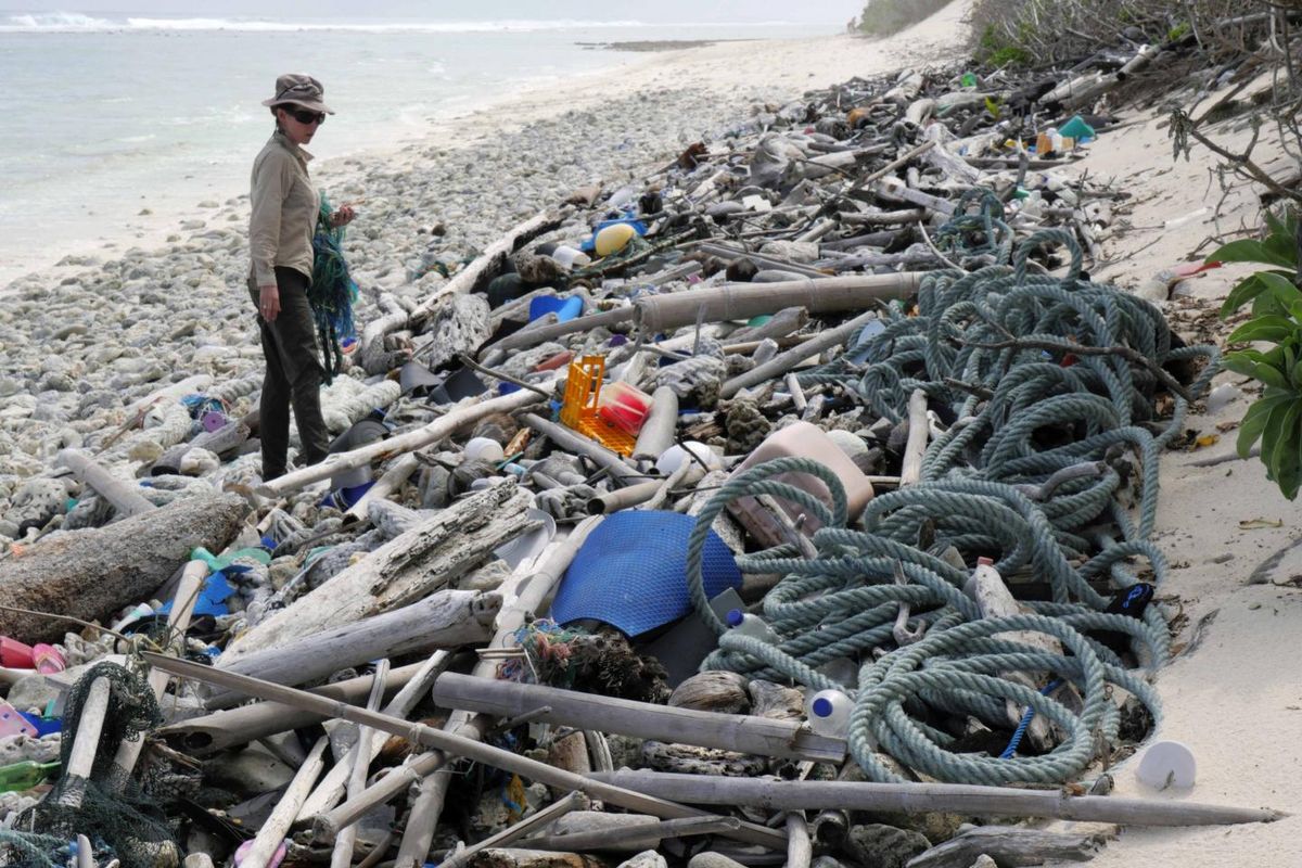 Lead author Jennifer Lavers looks out at the plastic debris covering a Cocos (Keeling) Island beach.