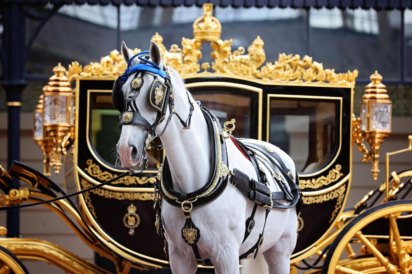 Tyrone working1_photo credits Royal Mews