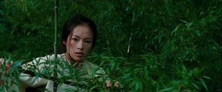 A still from the movie Crouching Tiger, Hidden Dragon