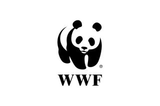 WWF's logo has been the same for decades – but the giant panda isn't endangered any longer