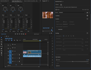 A screenshot from Adobe Premiere Pro in use