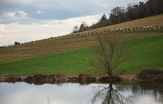 The pack of riders cycles during the 5th stage of the Paris-Nice cycling race, 196,5 km between Saint-Just-en-Chevalet and La CÃ´te-Saint-AndrÃ©, on March 13, 2025. (Photo by Anne-Christine POUJOULAT / AFP)