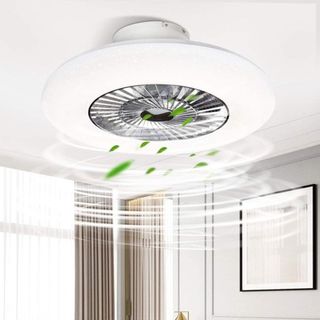 PADMA Ceiling Fans with Lights