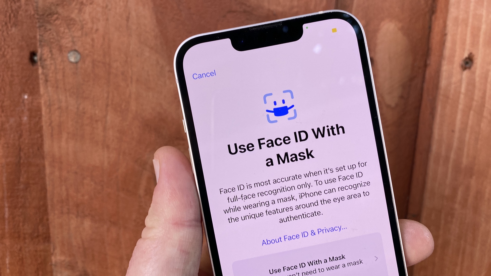 face id using mask