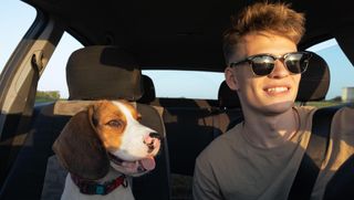 Young man and beagle dog in car