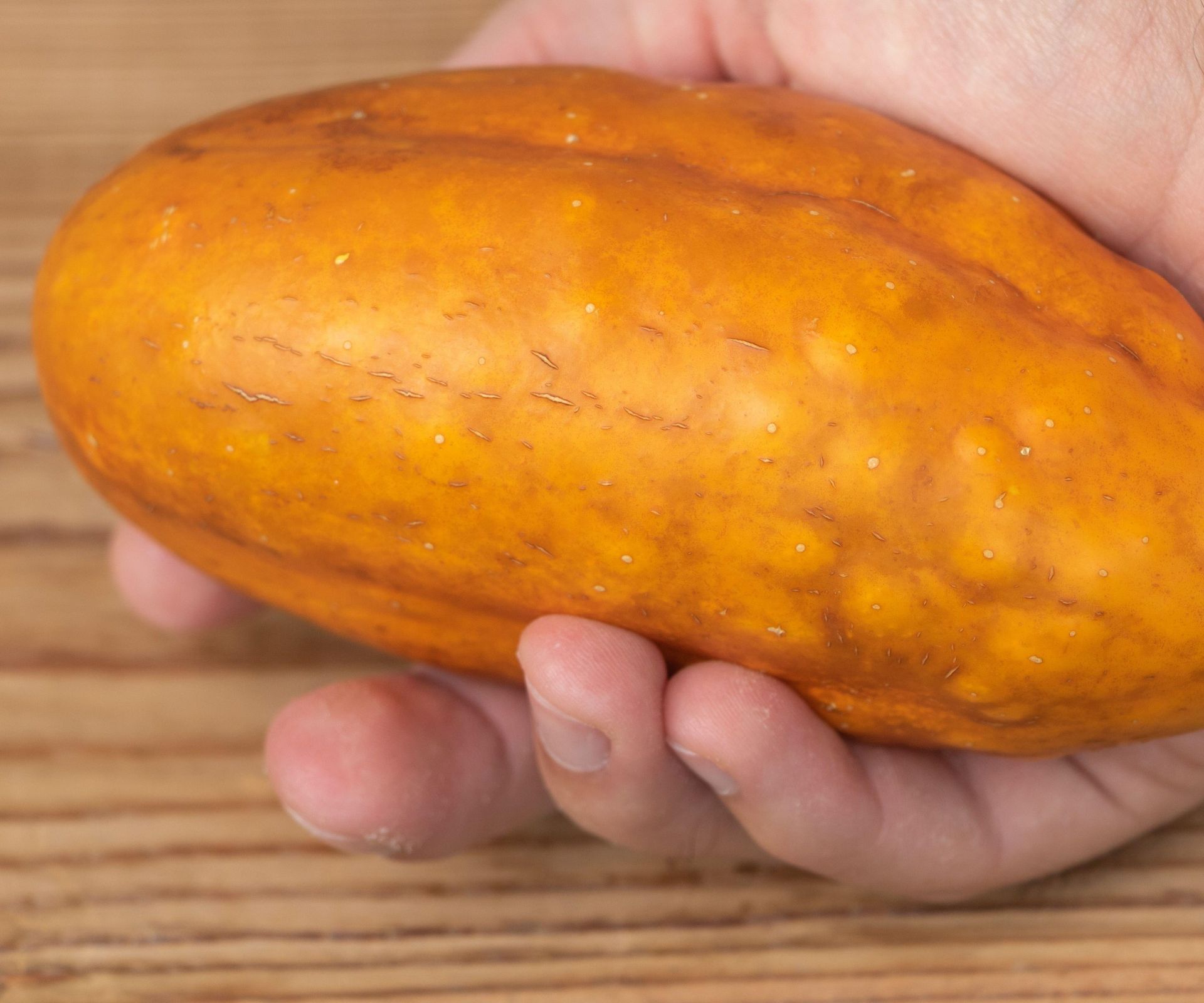 A yellow cucumber matured to produce seeds