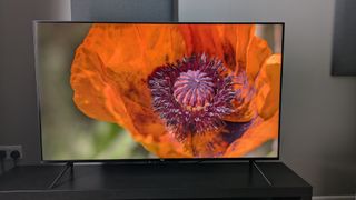 Amazon Omni Mini-LED with flower on screen