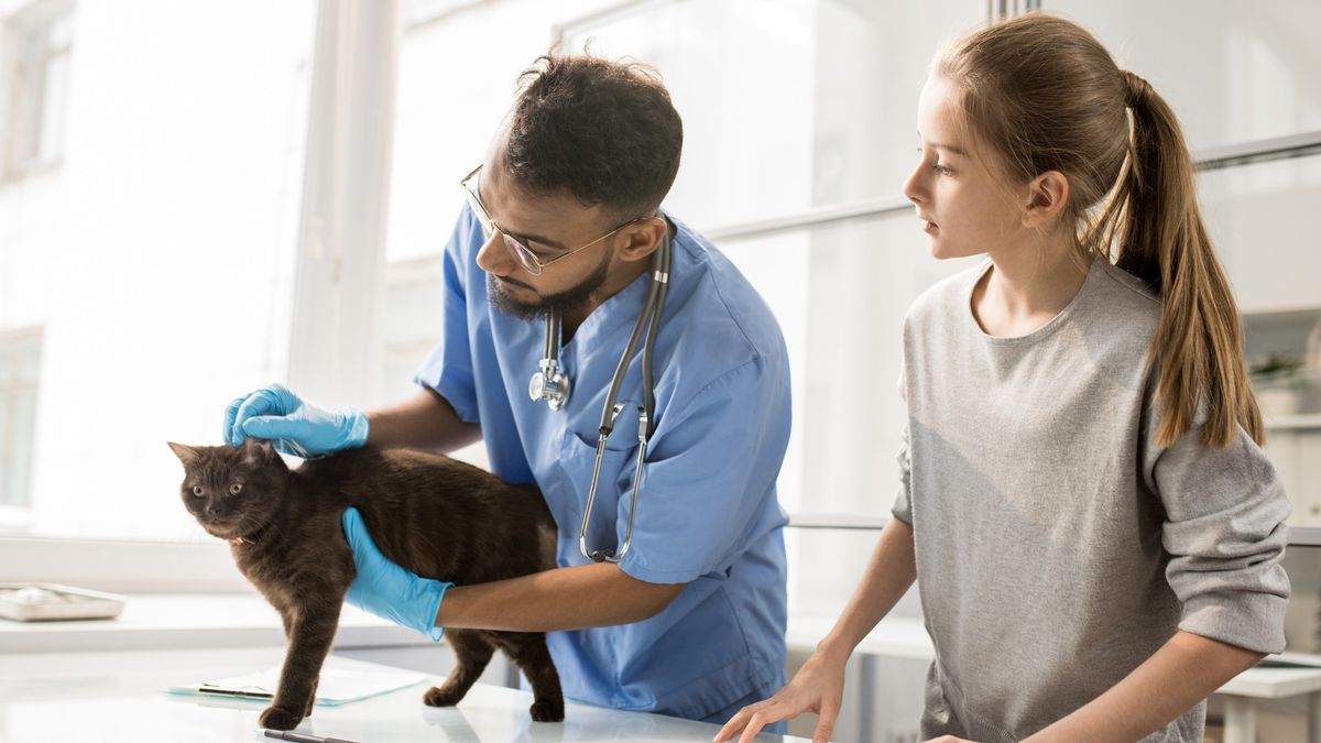 Best pet insurance Ensure your animal companion has