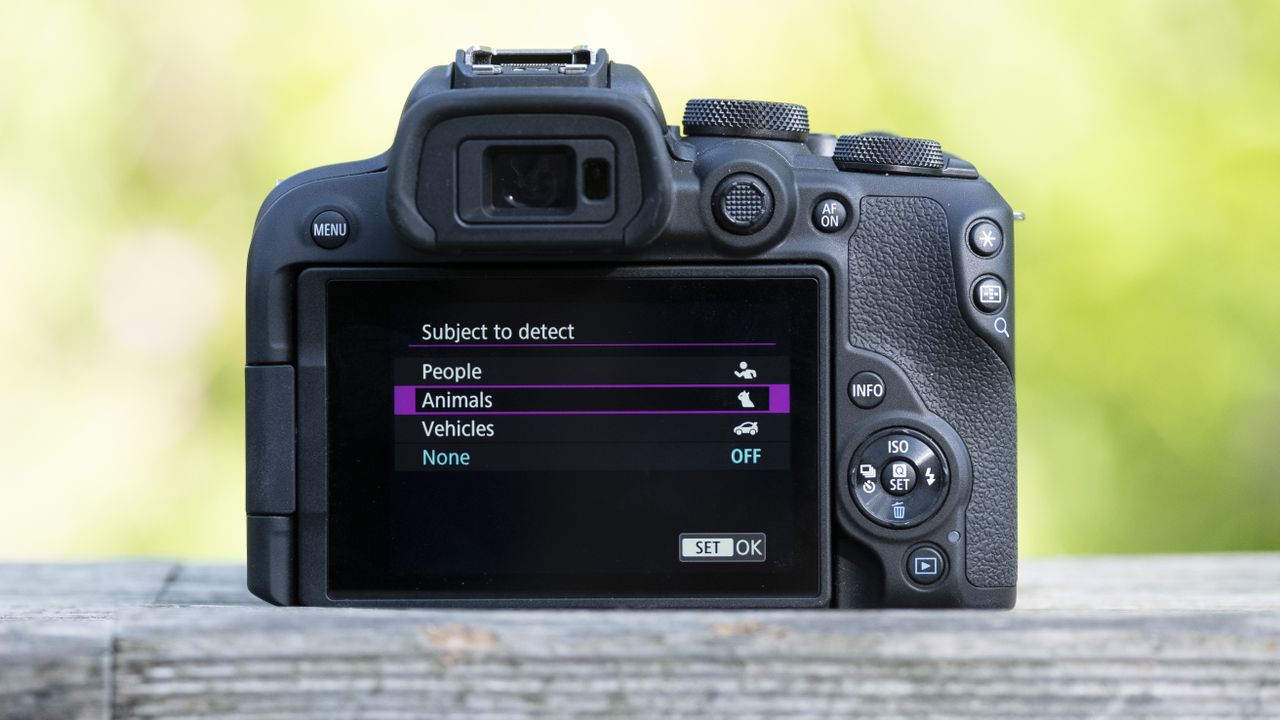 The Canon EOS R10 camera sitting on a wooden bench