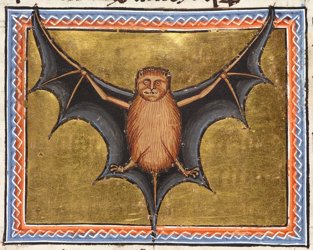 The illustration of the bat &quot;is a fairly accurate ventral view of a bat whose wings are shown as a membrane stretching from its three fingers down to its toes and tail,&quot; according to &lt;a href=&quot;https://www.abdn.ac.uk/bestiary/ms24/f51v&quot;&gt;the University of Ab