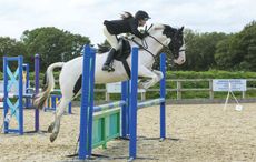 rehoming horses Bernard was rescued by the RSPCA four years ago and now enjoys showjumping