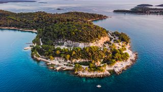 An aerial view of Golden Cape Forest Park and Lone Bay in Istria