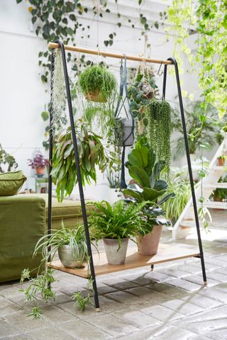 indoor plant ideas: hanging plant shelf used as room divider