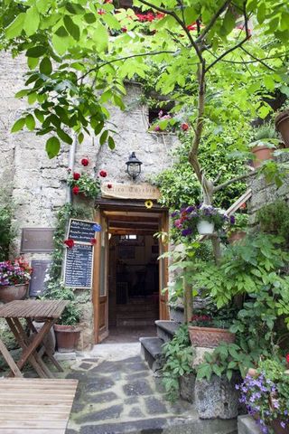 Flowerpot, Door, Garden, Shrub, Houseplant, Stairs, Annual plant, Landscaping, Temple,