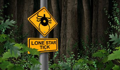 Lone star tick warning sign.