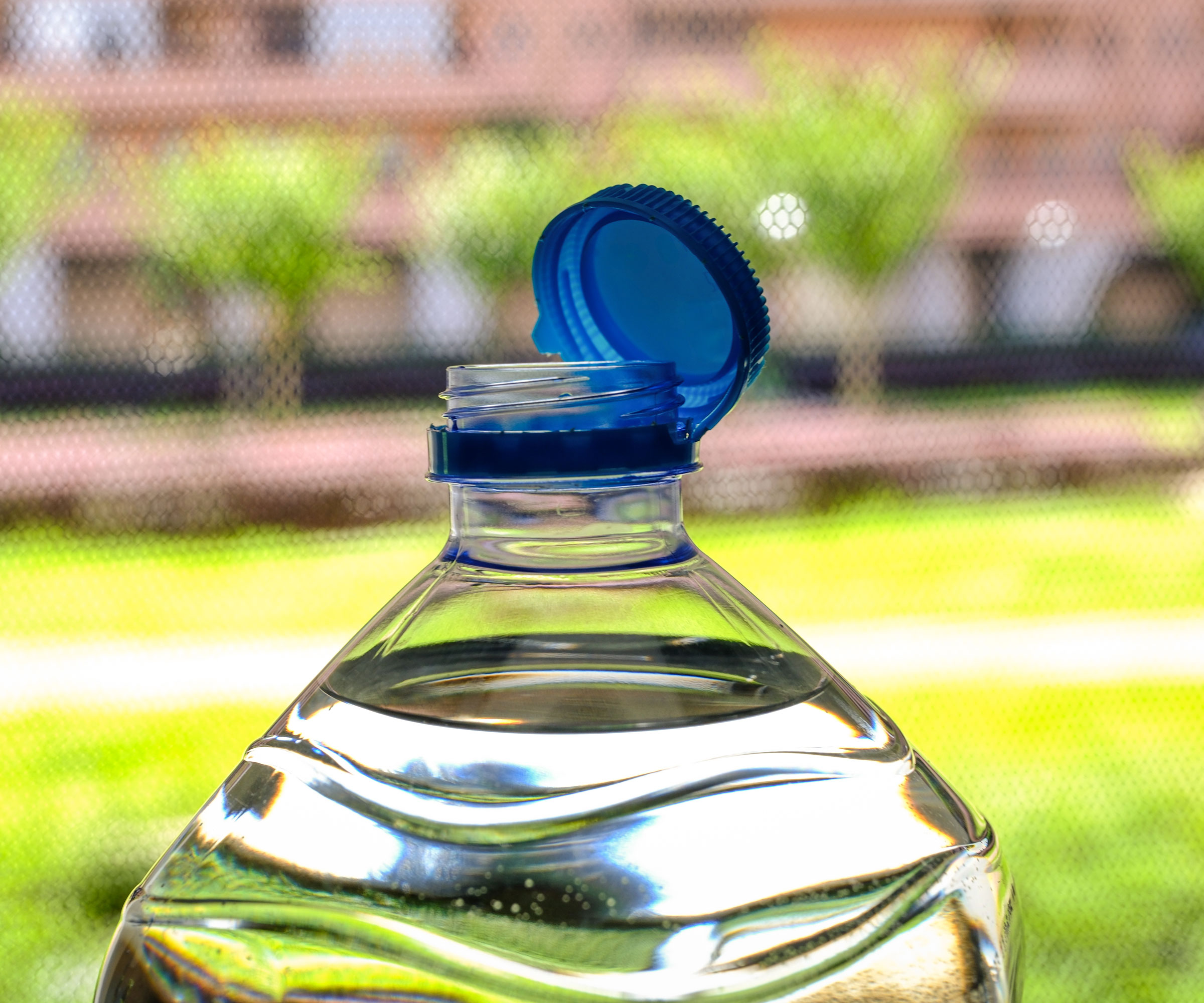 plastic bottle filled with water in garden