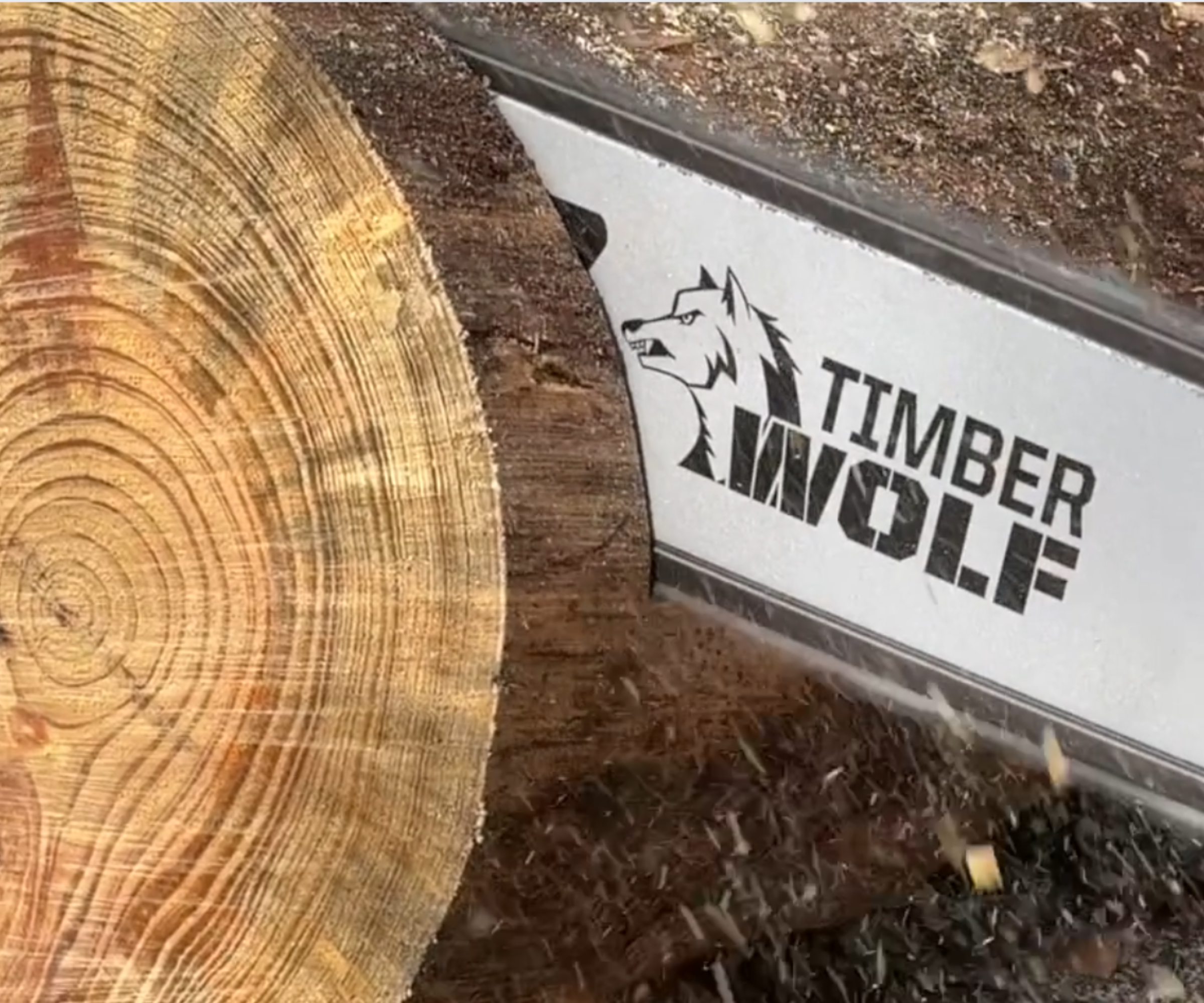 Close up of the Echo CS-590 chainsaw cutting through a log