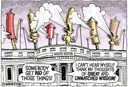 Political Cartoon U.S. Trump White House Noise Unmatched Wisdom