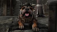 A British bulldog in a bowler, chomping a cigar