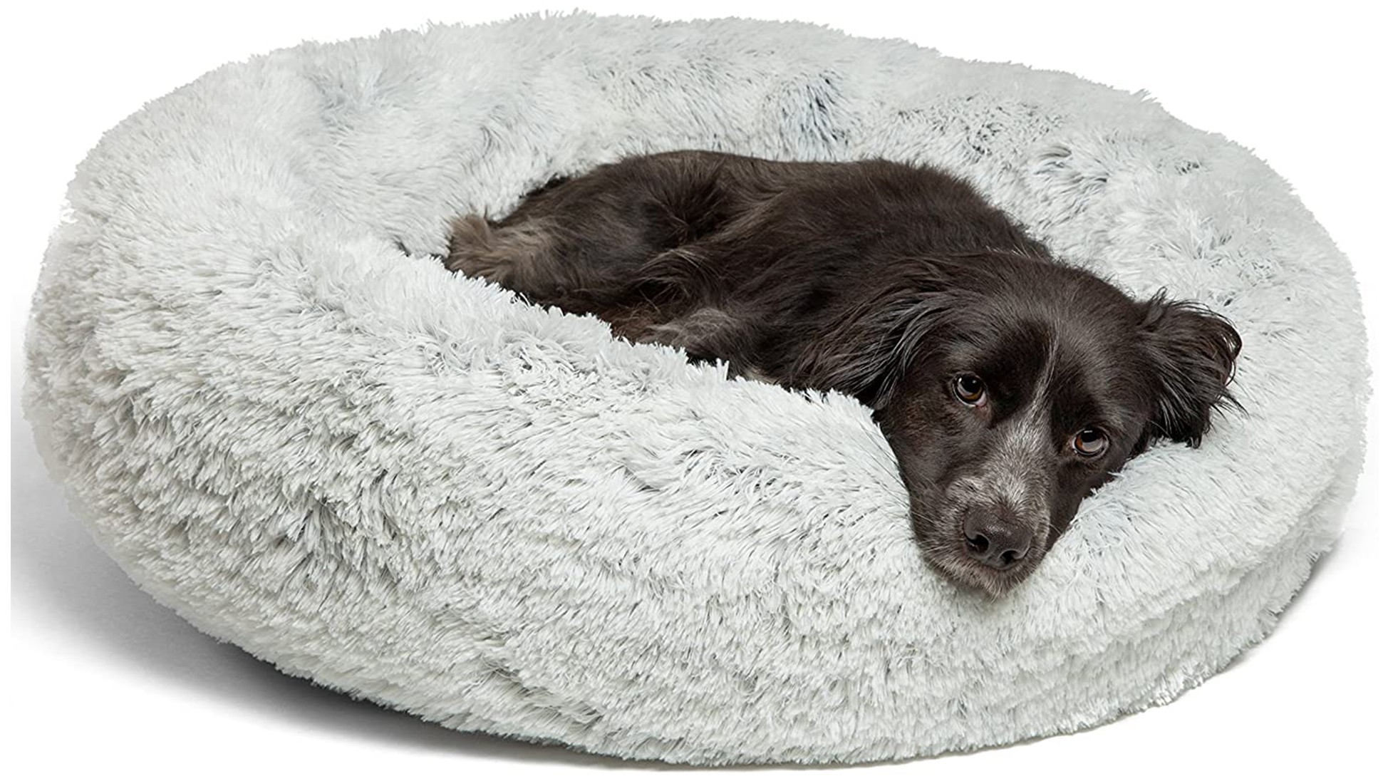 Best luxury dog beds: Cozy cribs for every age and stage | PetsRadar