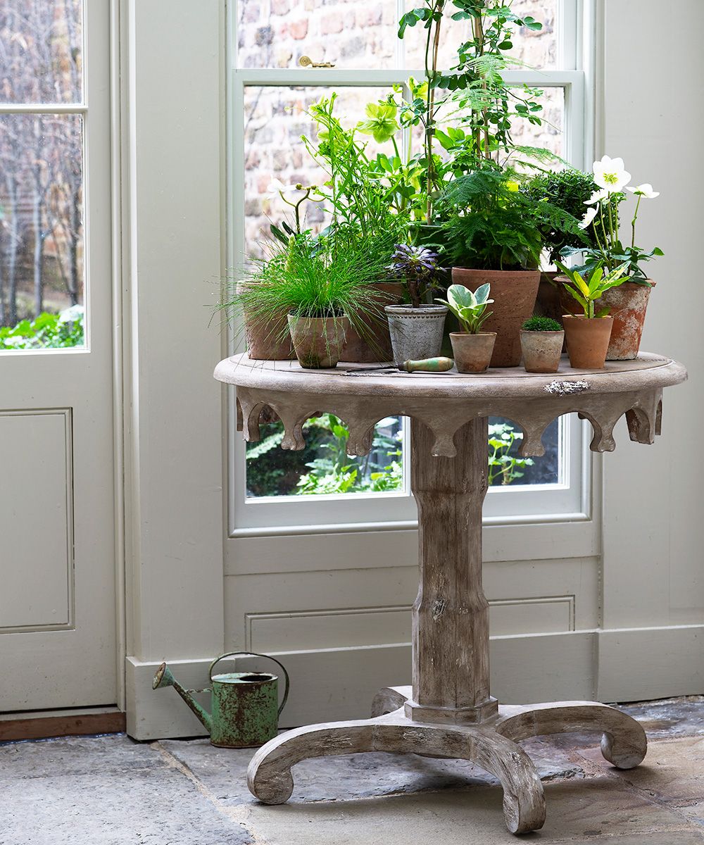 How to display displaying artwork, photos and ornaments Homes & Gardens