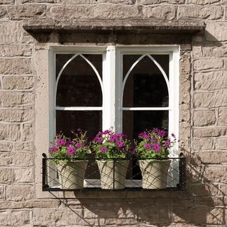 window with flower pot