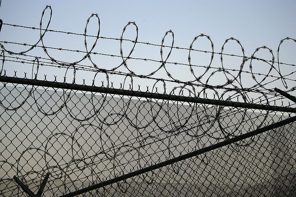 Barbed wire on a fence.