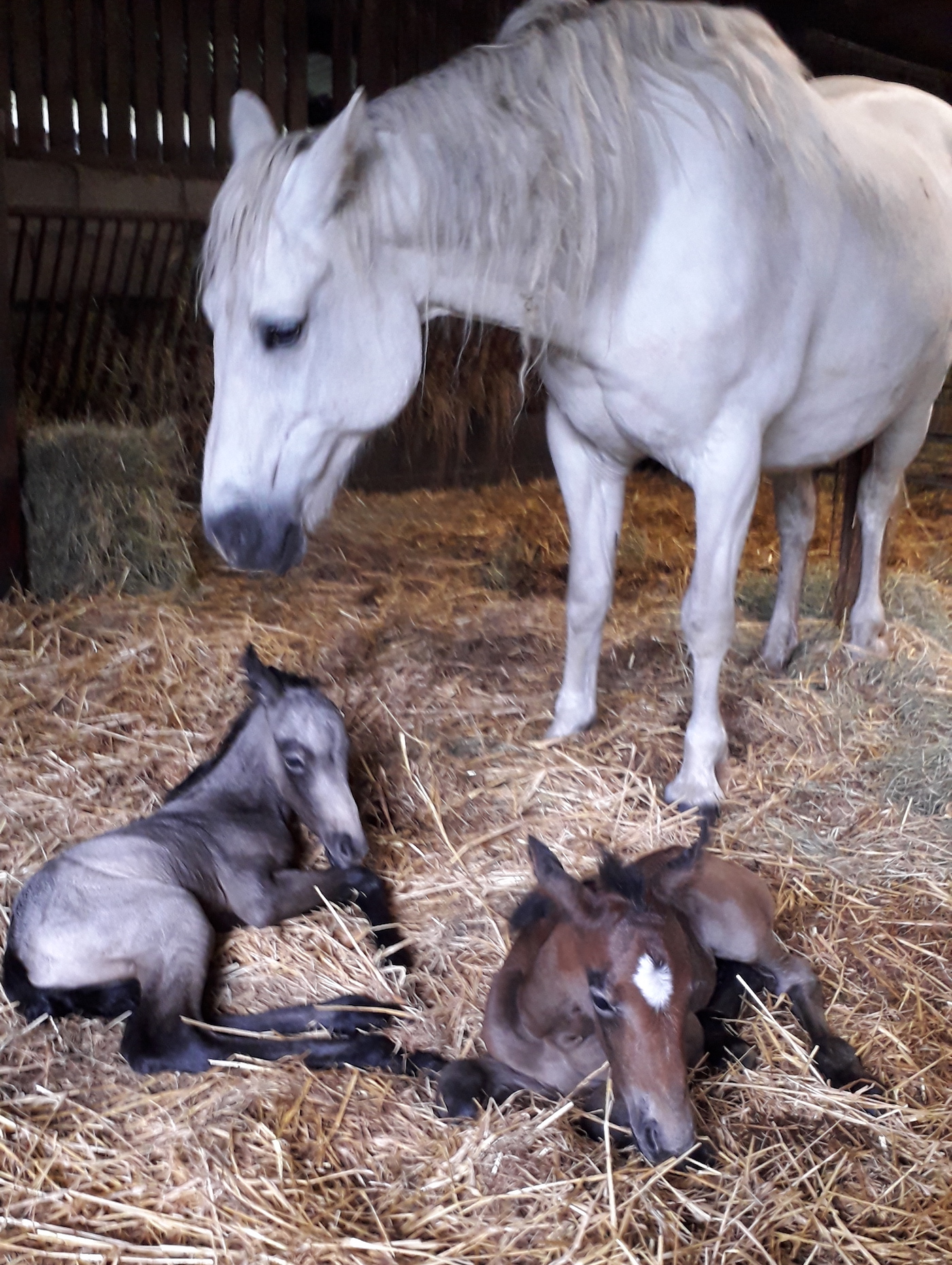 Jack and Jill