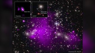 This image contains the most distant black hole ever detected made using X-rays from NASA's Chandra X-ray Observatory (purple) and infrared data from NASA's James Webb Space Telescope (red, green, blue).