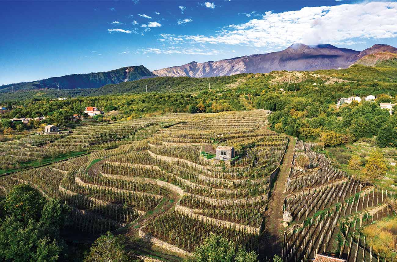 Benanti vineyards in Contrada Rinazzo Alto, Sicily