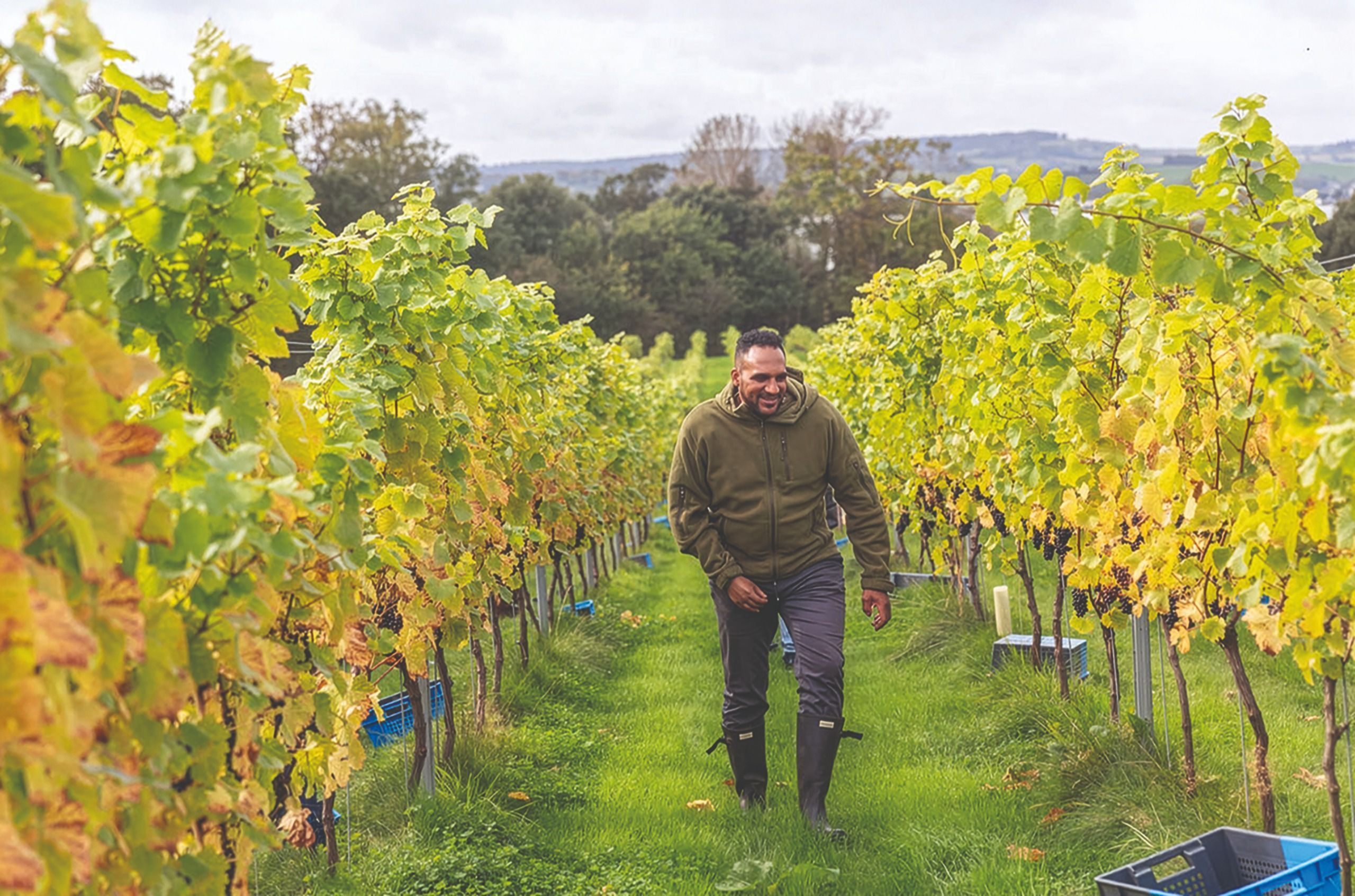Editors’ picks: A range of great wines to try – October 2026