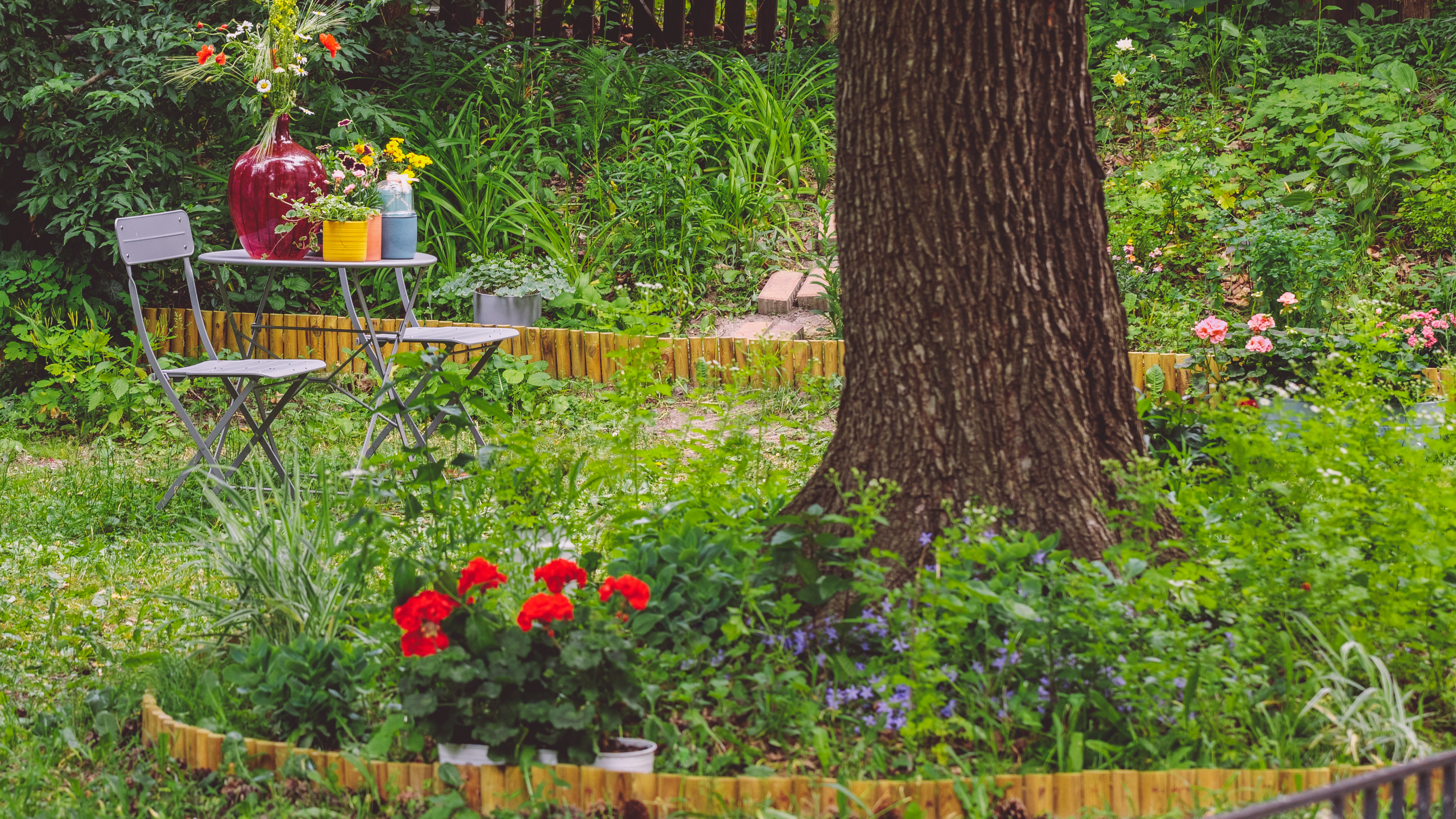 a garden with wildflowers and ground ivy - Eva Katalin - GettyImages-2218426971