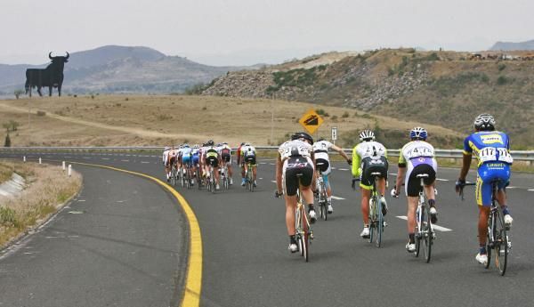 El Toro watches over the peloton.