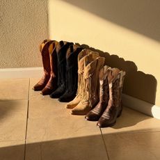 An image of chic cowboy boots.