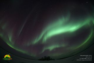 Aurora Borealis above Yellowknife, NWT
