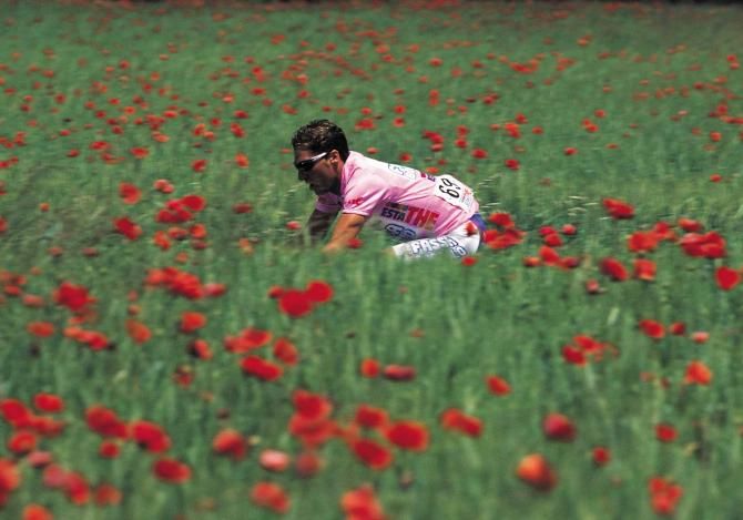 The maglia rosa rides through a field of poppies