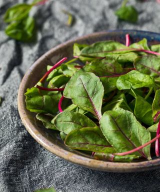 A bowl of fresh beet greens