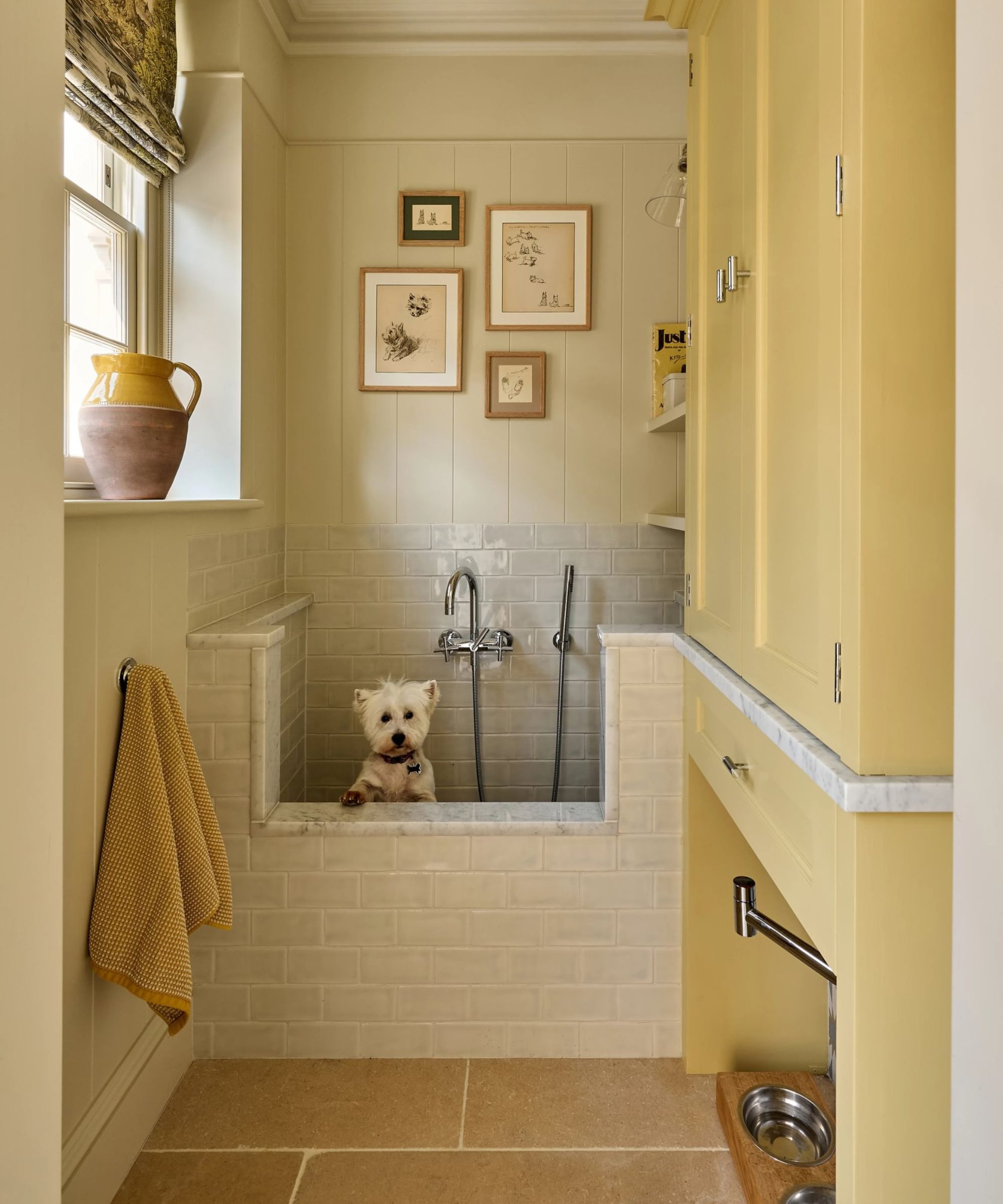 a white west highland terrier stood in a custom dog bath inside a yellow painted mud room with built-in dog bowls