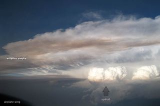 Wildfire smoke is sucked up into a thunderstorm.