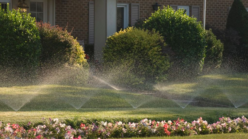 Which lawn sprinkler layout is best? Lawn pros have their say | Homes