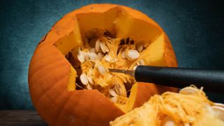 A pumpkin which has been cut open for carving showing the guts and seeds