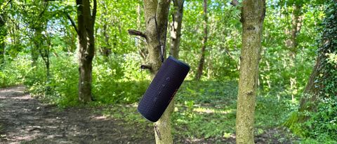 JBL Flip 6 hanging from a tree