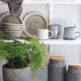 kitchen with storage jars and plant