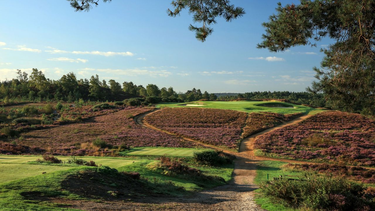 Hankley Common Golf Club 7th hole pictured from the tee