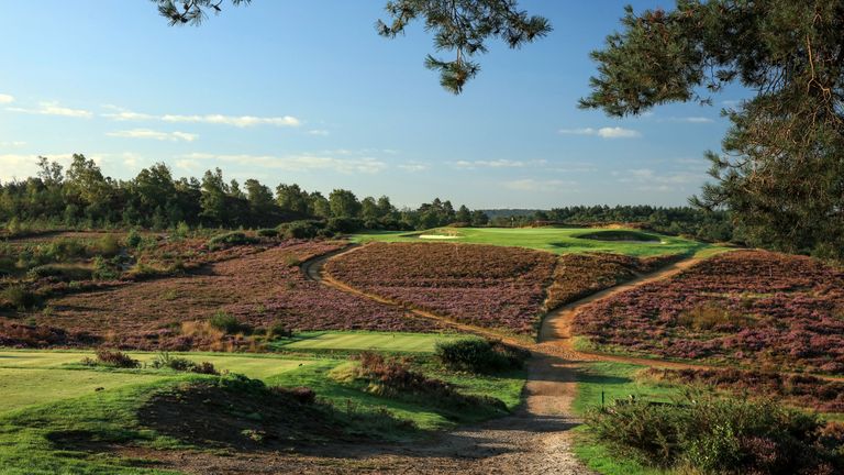 Hankley Common Golf Club 7th hole pictured from the tee
