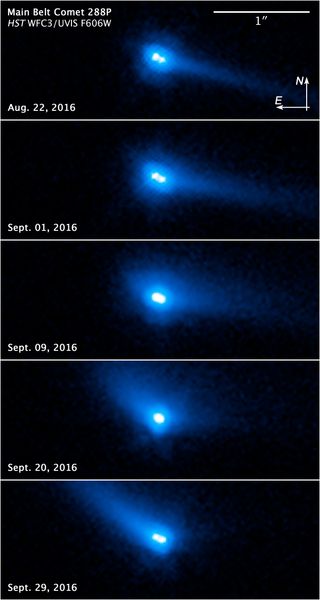 This series of images shows observations of object 288P using the Hubble Space Telescope. The obesrvatiosn revealed that 288P consists of two asteroids that release water vapor, and are engaged in a highly peculiar orbit.